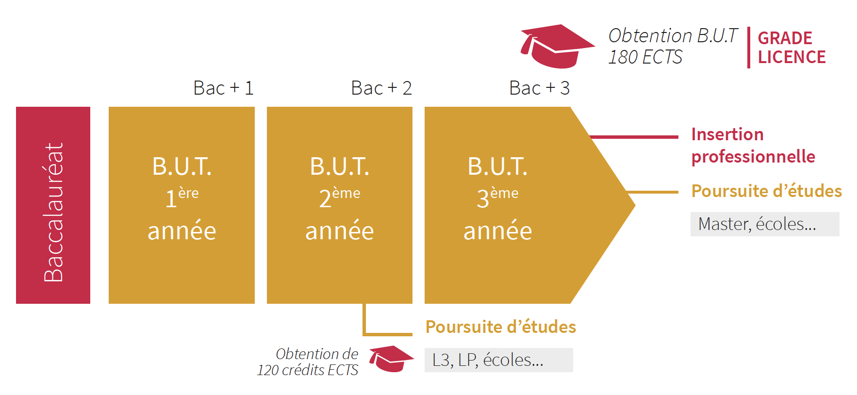 Cursus de la formation en BUT