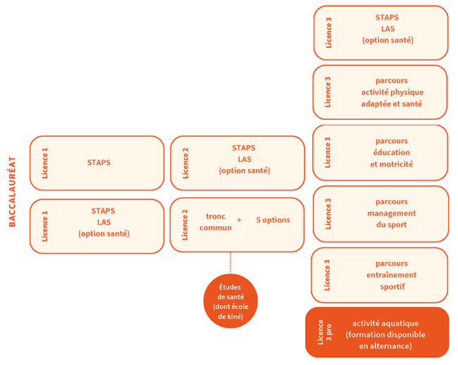 Parcours - STAPS APAS