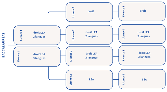 Parcours - Licence Droit-LEA