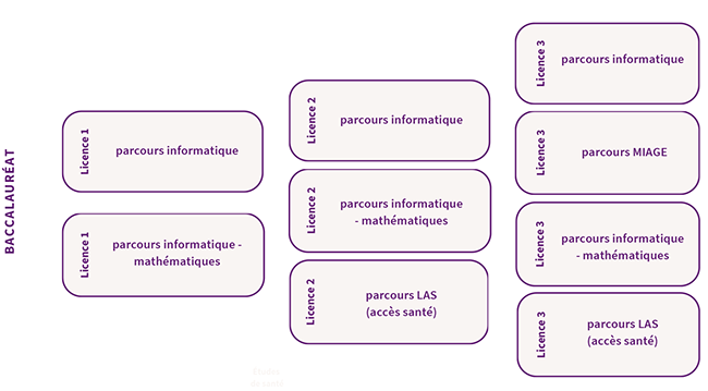 Parcours - Licence informatique