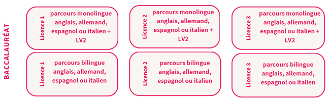 Parcours - Licence LLCER