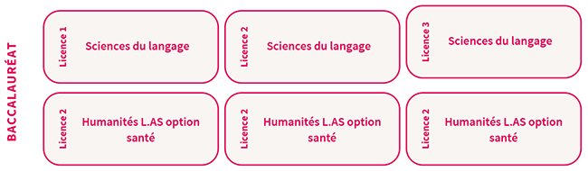 Parcours - Science du langage