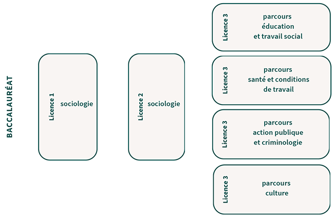 Parcours - Sociologie