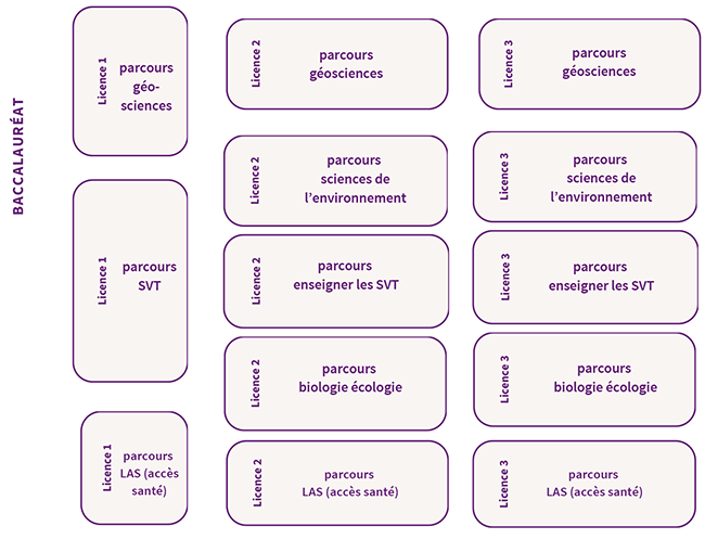 Licence - parcours SVT 2